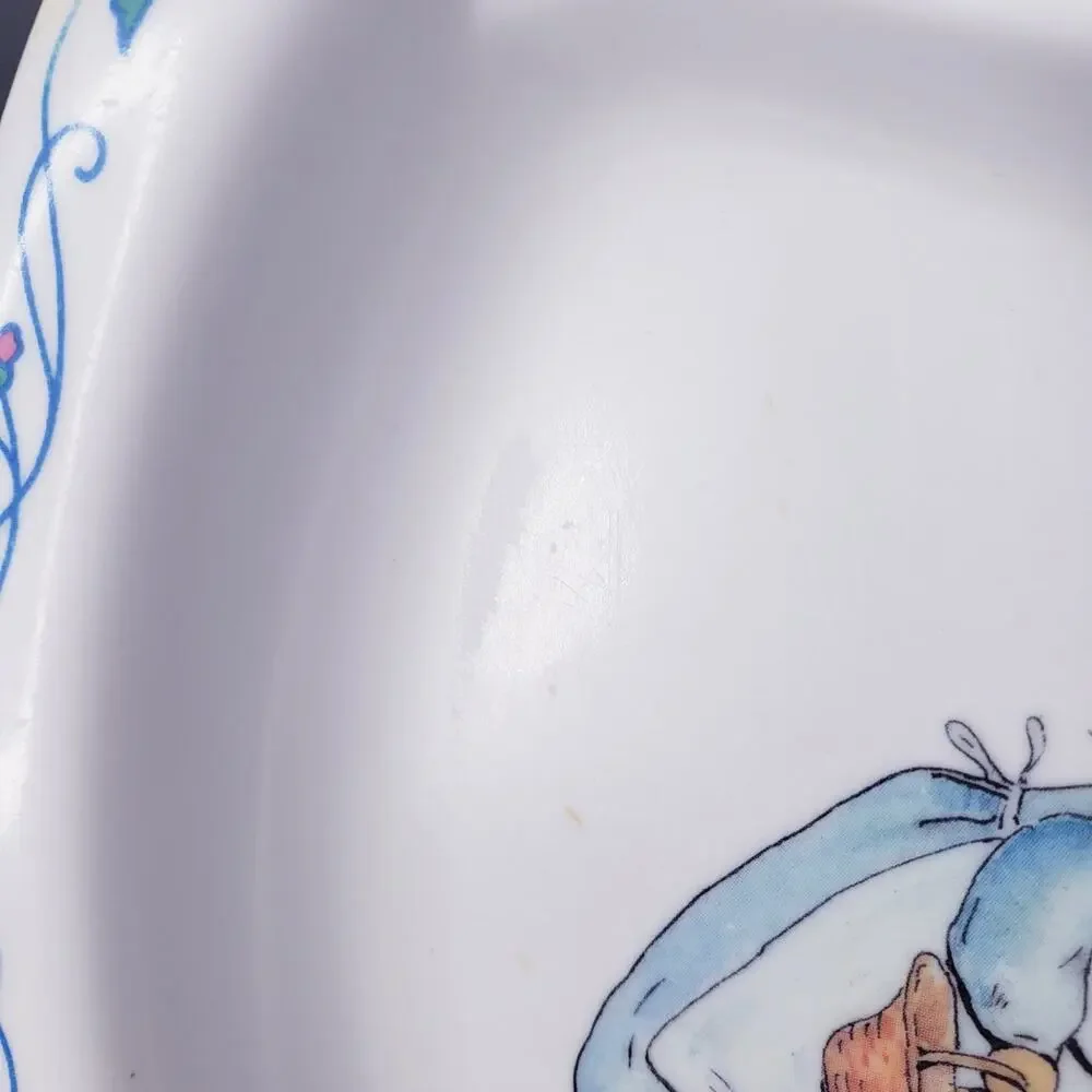 Beatrix Potter Peter Rabbit Melamine Divided Dinner Plate And Bowl